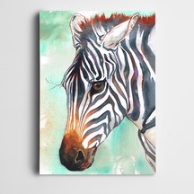 Zebra Dekoratif Dev Boyut Kanvas Tablo 100 X 140 Cm
