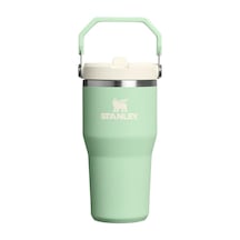 Stanley Iceflow Flip Straw Tumbler Pipetli Termos, 0.60 L, Yeşil Çok Renkli Stanley Iceflow Flip Straw Tumbler Pipetli Termos, 0.60 L, Yeşil Çok Renkli