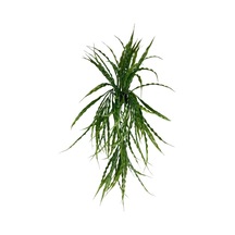 Yapay Çiçek Saksıda Sarkan Yeşil Kıvrımlı Saz 70Cm