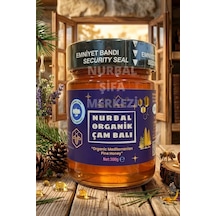 Nurbal Şifa Merkezi Organik Çam Balı 450 G
