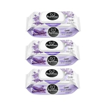 Papilion Islak Havlu 100 Lü Lavanta X 3 Adet