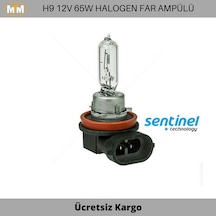 H9 Halogen Far Ve Sis Ampülü 12V 65W