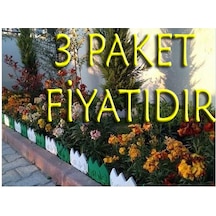 Dekoratif Geçirmeli Renkli Bahçe Çiti ( 3 Paket ) Yeşil