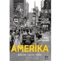 Amerika - Dinç Yaylalıer - İstek