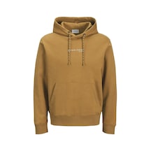 Jack & Jones Jjskı Kapüşonlu Sweatshirt Erkek Logo Hoodie Aw25 Çok Renkli