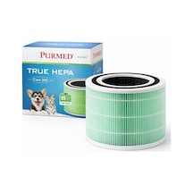 300 Core 300s Air Purifier Uyumlu Karbon Filtre - Pet-evcil Hayvan Sarı Çok Renkli
