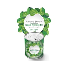 Ispanak Tohum İri Yaprak