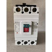 Westhomes 400A 8Kv Kaçak Akım Korumalı Şalter Wcm1-400L/3300 Bağl