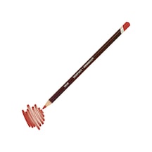 Coloursoft Profesyonel Kuru Boya Kalemi C120 Red Karışık Çok Renkli