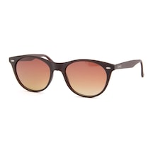 Swing Ss281-c216 53 Polarize Unisex Güneş Gözlüğü Kahverengi