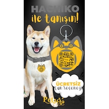 Petjoo 19.Hachiko Sarı-Gri Qr'lı Köpek Künyesi