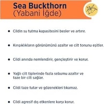 By Sweden Sea Buckthorn Misel Temizleme Suyu Yağlı Ve Karma Ciltler, 400 Ml