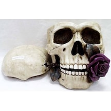 WISE Veronese İskelet Serisi-WISE KURUKAFA KULLUK-15*23*13 CM