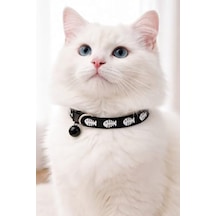 Allerderm Nokta 6 X 2 Ml - Küçük Köpekler Ve Kediler