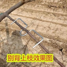 Youmex M Tipi Meyve Ağacı Dal Bükücü 13 Cm - 20 Adet/kilo, Dal Açısı Ayarlayıcı, Büyümeyi Teşvik Eden Bahçe Aleti