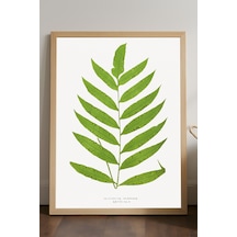 Leaf Ahşap Çerçeveli Poster, Dekoratif Sanatsal Duvar Tablosu