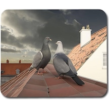 Kuş Güvercin Mouse Pad