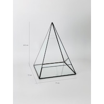 Dekoratif Cam Fanus. Teraryum Cam Fanus. Geometrik Cam Fanus. (486781628)