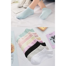 Bgk Bgk Sft Ptk Soft Patik Kadın Çorap Renkli 8'Li Çok Renkli