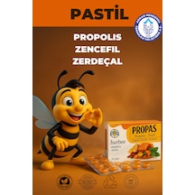 Propolis Zencefil Zerdaçal Pastil 16 Lı Boğaz - Ha...