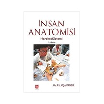 İnsan Anatomisi - Hareket Sistemi