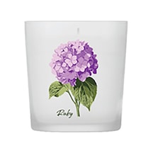 Ruby Kokulu Mum Ortanca - 7 Adet Tarı Pembe