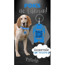 Petjoo 29.Foks Gri-Mavi Qr'lı Köpek Künyesi