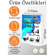 A4 Gramajlı Fotokopi Kağıdı 100 Adet 250 Gr Sertifika Kağıdı Kalın Kağıt Baskı Tüm Yazıcılara Uyumlu 21x29.7cm Ofis Büro