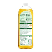 Frosch Ahşap Temizleyici 750 Ml 1000'li Set