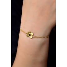 Papatya Silver 925 Ayar Gümüş Gold Kaplama Ocak Ayı Doğum Taşlı Şans Dört Yapraklı Yonca Bileklik