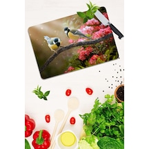 Model 187 Cam Kesme Tahtası 30 Cm X 40 Cm