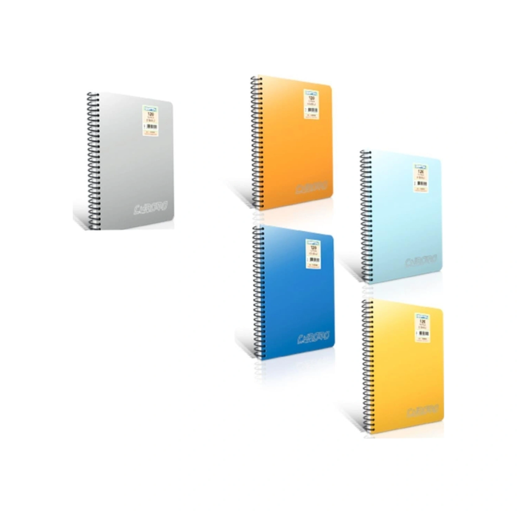 Spiralli Defter Chromo Plastik Kapak Çizgisiz 100 Yp A4 2065
