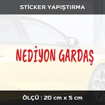 NE DİYON GARDAŞ sticker