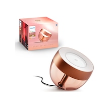 Philips Hue Iris - Copper (Special Edition)