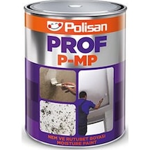 Polisan Prof P-Mp Nem ve Rutubet Boyası 1 Kg