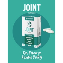 Dr. Gülzari Joint Kompleks 60 Kapsül