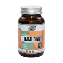 Phytodef Immugan Kuersetin Beta Glukan Kara Mürver 30 Kapsül