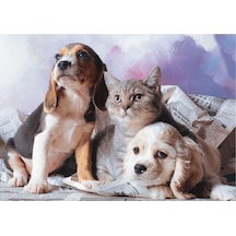 Puzz 1000 Parça Kedi Köpek Kardeşliği Yapboz