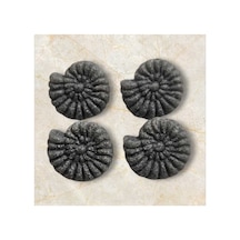 Fosil Salyangoz Kemik Düğme Alttan Dikim 1,4 Cm 6 Adet - 691742218
