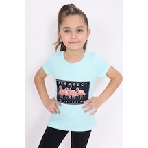 Mint Yeşili