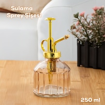 Perotti Vintage Cam Bitki Sulama Şişesi 250 ML Pembe