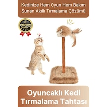 Özel Üretim Dayanıklı Eğlenceli 14x14 Cm En 26 Cm Yükseklik Sesli Oyuncaklı Kedi Tırmalama Tahtası