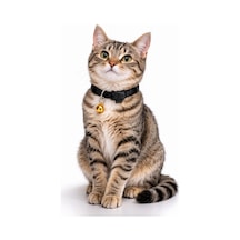 Urban Paws Kedi Tasması Noir Black Ayarlanabilir, Dayanıklı, Hafif-10mm