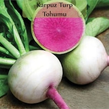 Turp Tohumu 1 Paket Karpuz Turp Tohumu Ekmeye Uygun Yüksek Verimli Tohum Karpuz Turp Tohumu