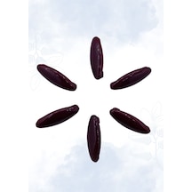 Siyah