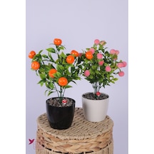 Yapay Çiçek Sitesi Plastik Saksıda Yapay Mini Mandalina & Şeftali Tanzimi 2 Li Set 33 Cm Çok Renkli