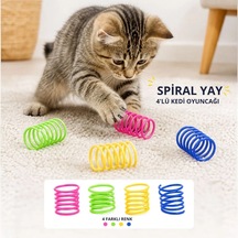 4&amp 39 Lü Renkli Spiral Yay Kedi Oyuncağı, Esnek Ve Hareketli Eğlenceli Kedi Oyun Seti 5468