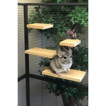 Kurutulmuş Çam 4 Lü Chinchilla Platform Seti Montaj Aparatlı