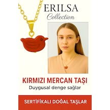 Çok Renkli