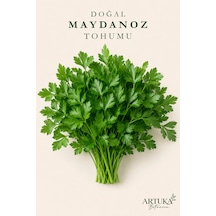 Doğal Maydanoz Tohumu 2500+ Ad Ata Tohum